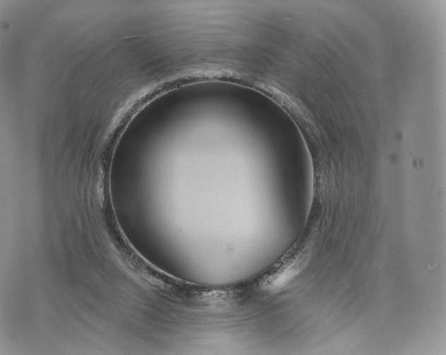 X0000072940064200608111611