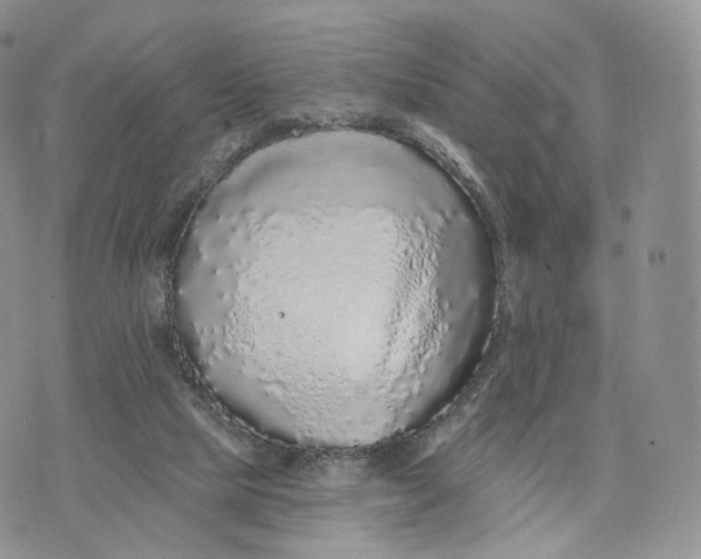 X0000072940065200608111611