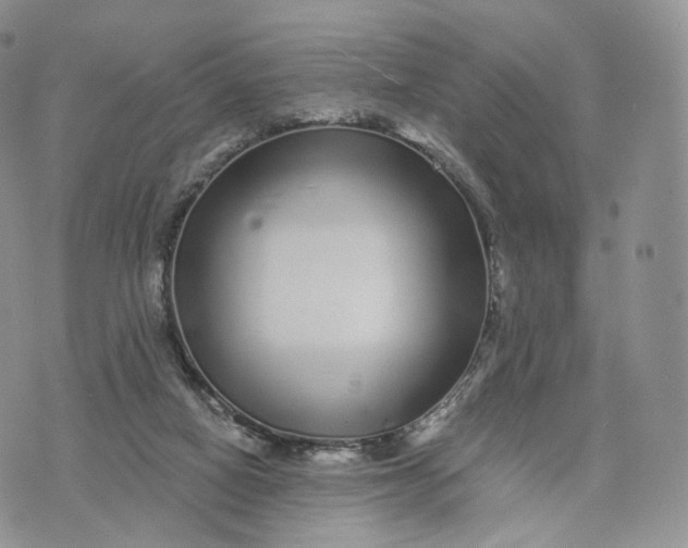 X0000072940066200608111611