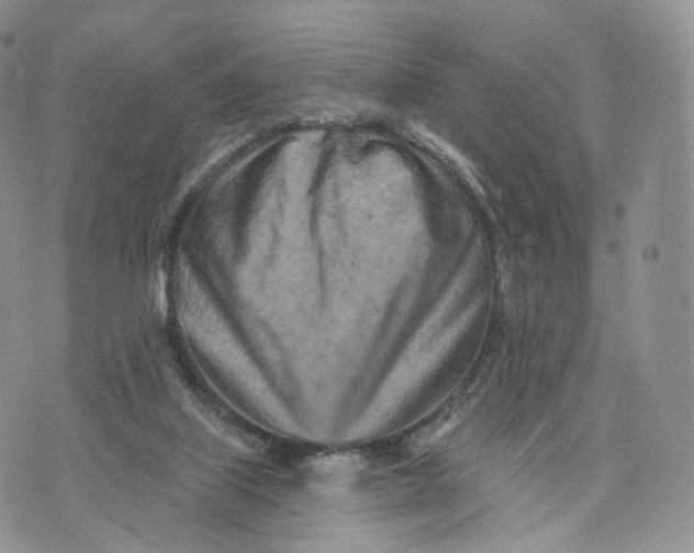 X0000072940067200608111611