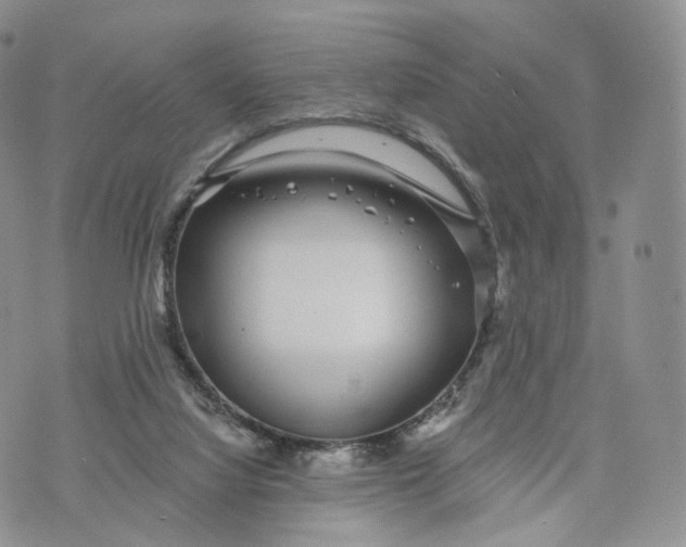 X0000072940068200608111611