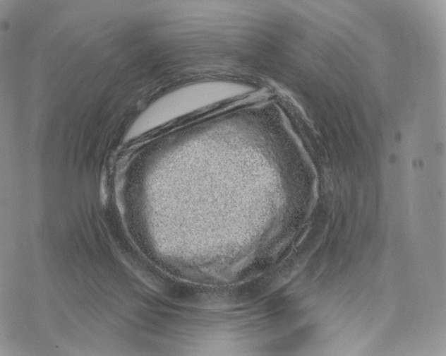 X0000072940069200608111611