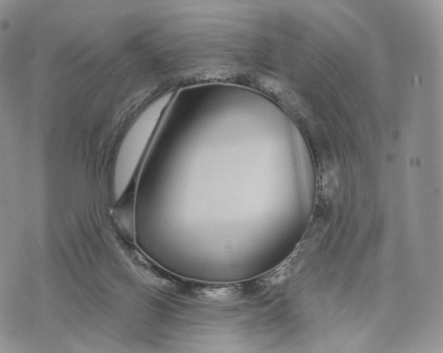 X0000072940070200608111611