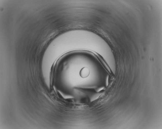 X0000072940072200608111611