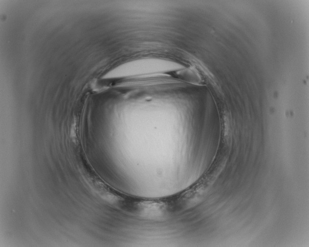 X0000072940073200608111611