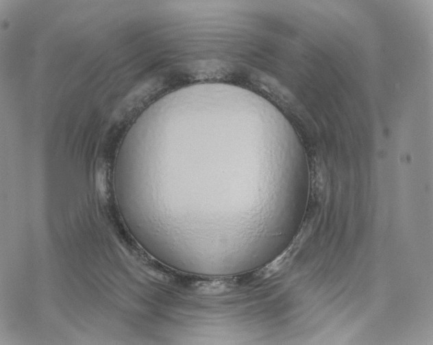 X0000072940074200608111611