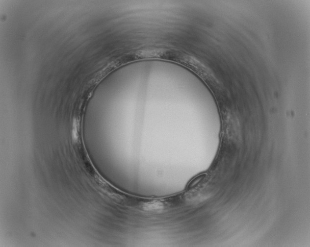 X0000072940075200608111611