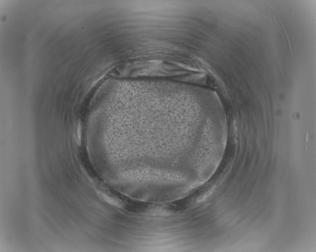 X0000072940076200608111611