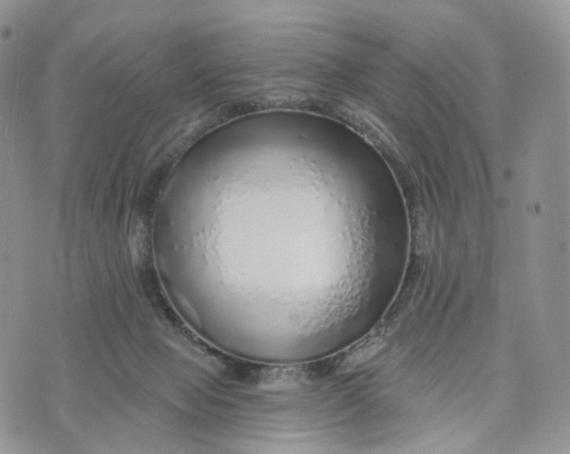 X0000072940077200608111611