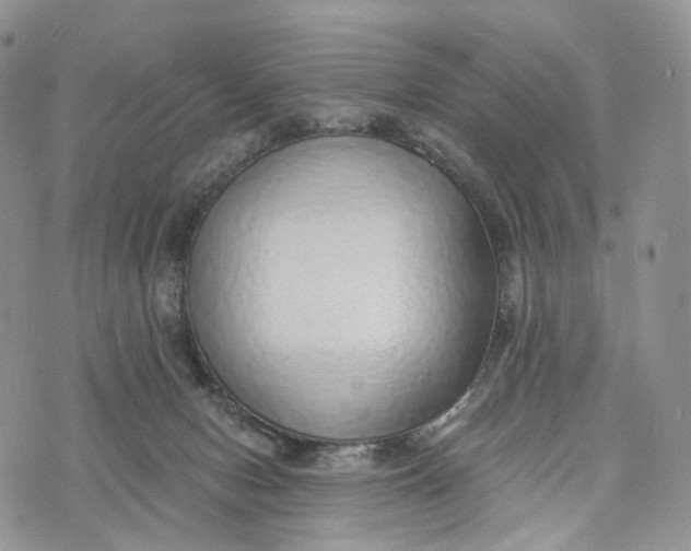 X0000072940078200608111611