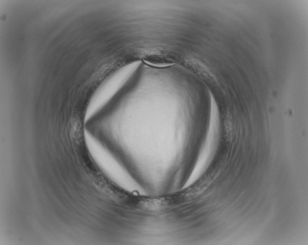 X0000072940079200608111611