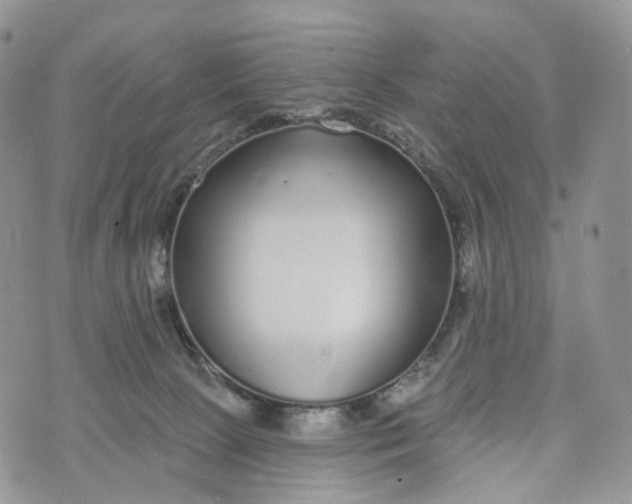 X0000072940081200608111611