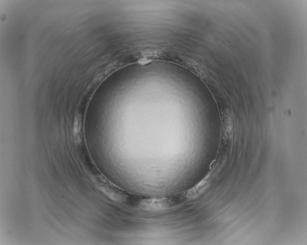 X0000072940082200608111611