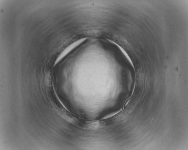 X0000072940083200608111611