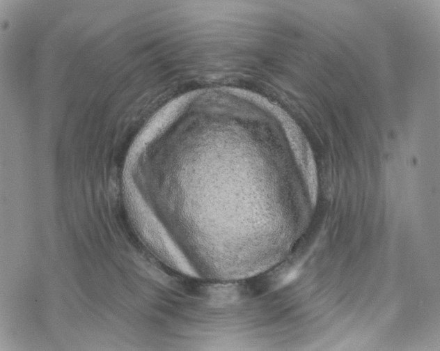 X0000072940085200608111611