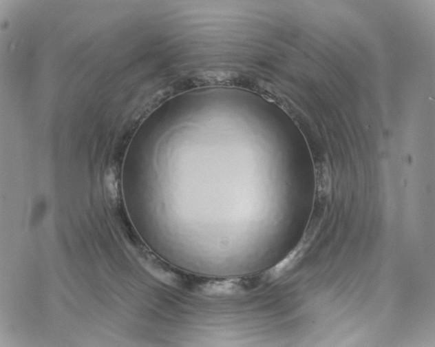 X0000072940086200608111611