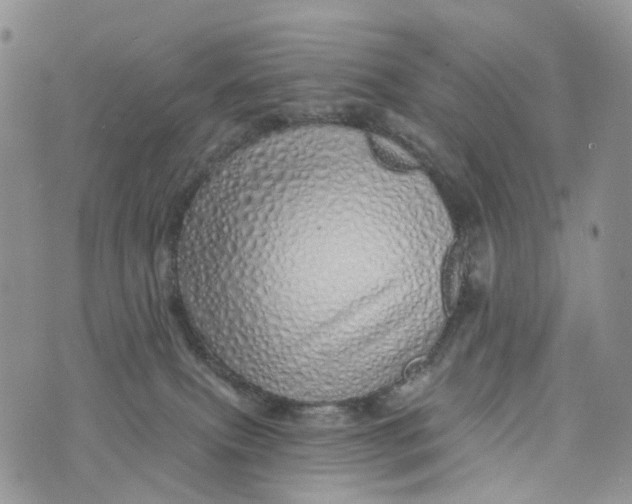 X0000072940087200608111611