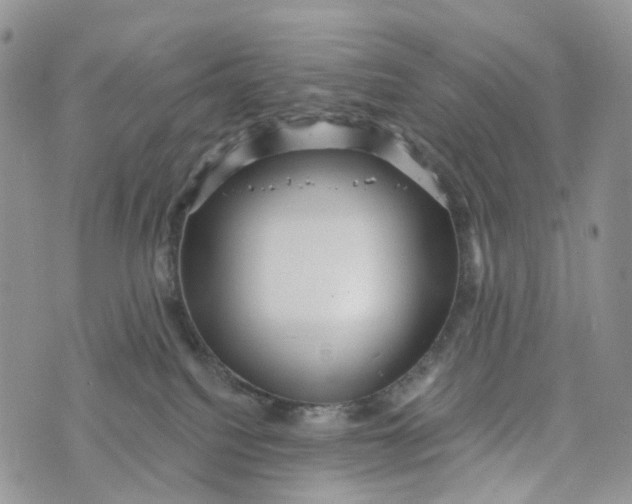 X0000072940088200608111611