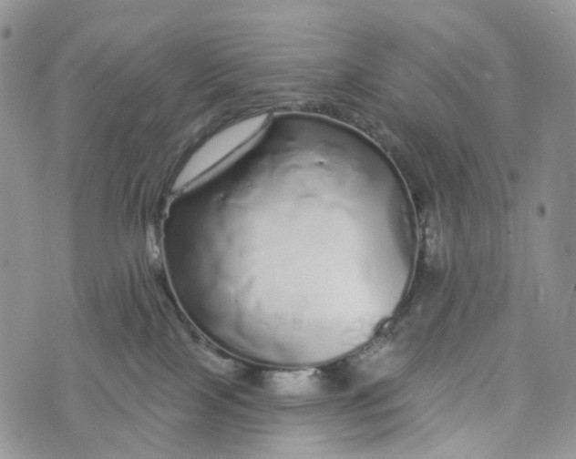 X0000072940089200608111611