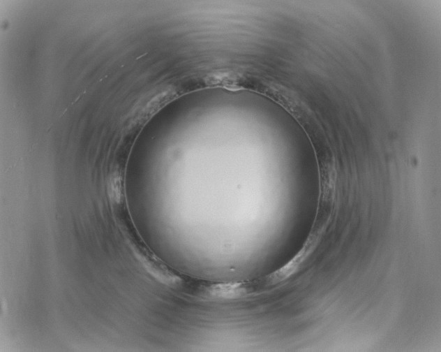 X0000072940090200608111611