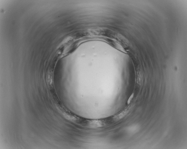 X0000072940091200608111611