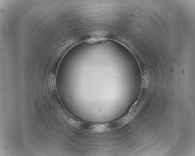 X0000072940093200608111611