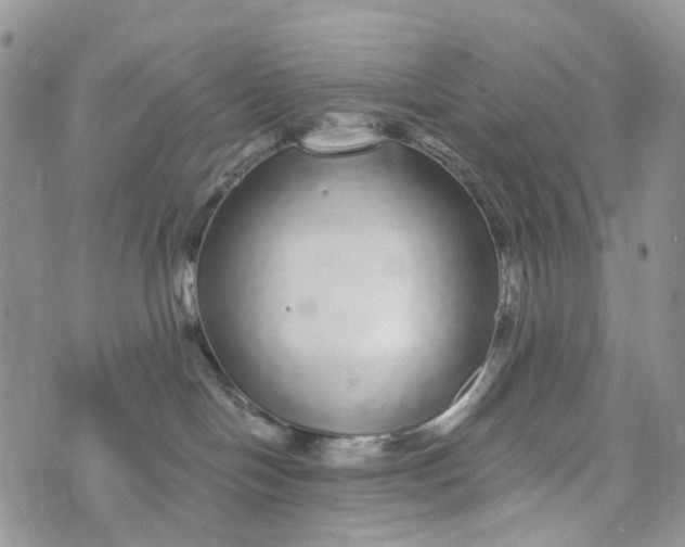 X0000072940094200608111611