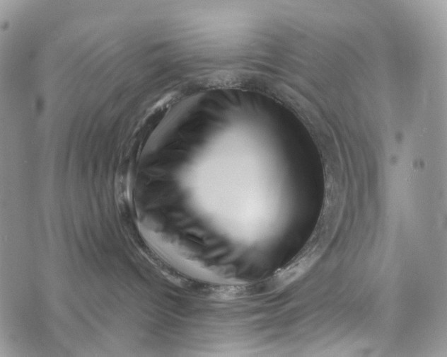 X0000072940096200608111611