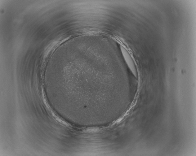 X0000072940097200608111610