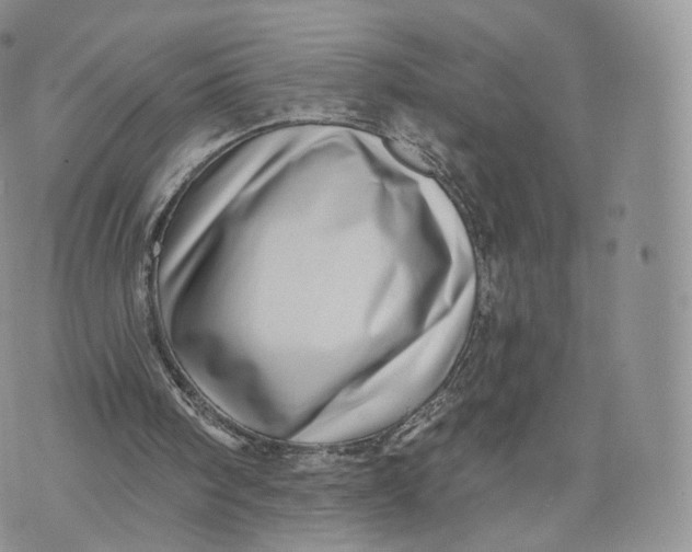 X0000072940098200608111610