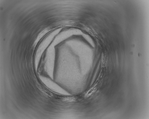 X0000072940099200608111610