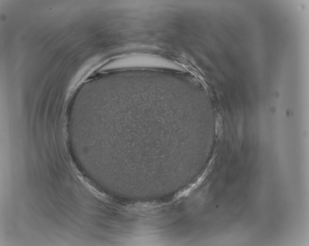 X0000072940101200608111610