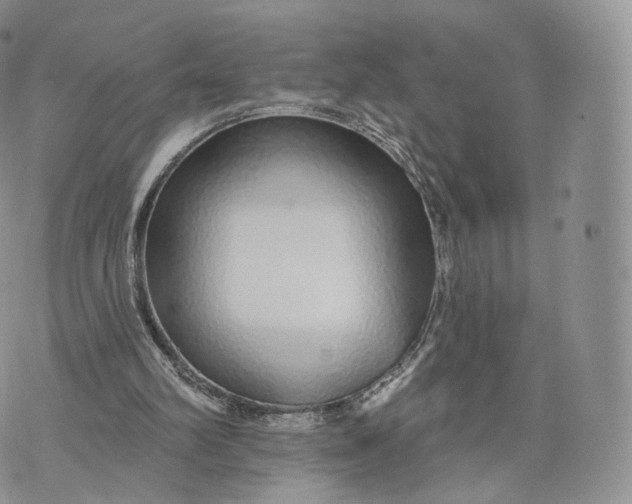 X0000072940102200608111610