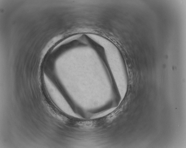 X0000072940104200608111610