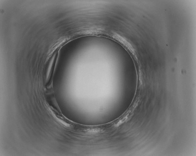 X0000072940105200608111610