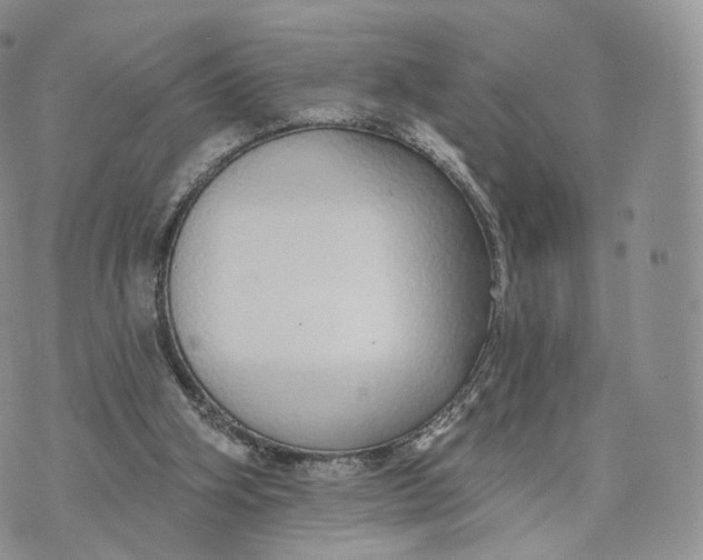 X0000072940106200608111610