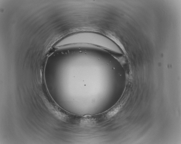 X0000072940109200608111610