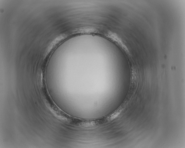 X0000072940110200608111610