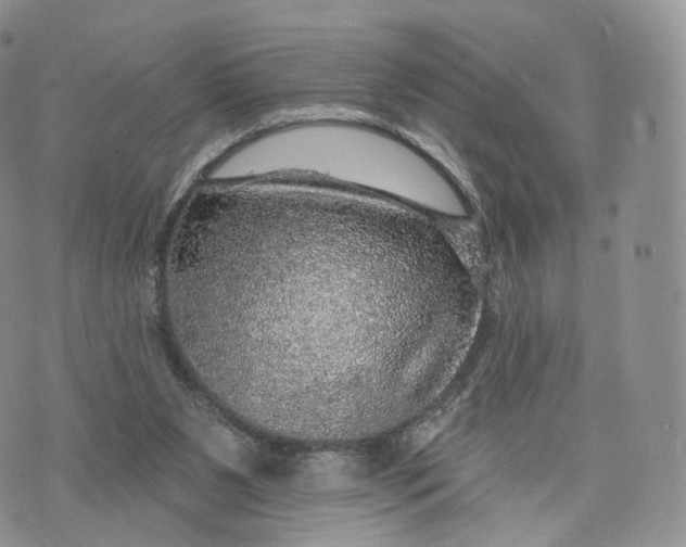 X0000072940111200608111610