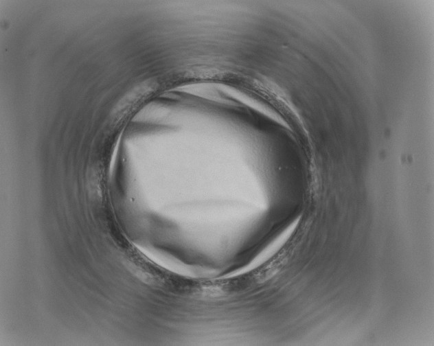 X0000072940114200608111610