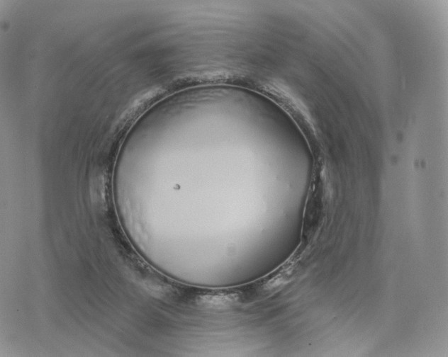 X0000072940115200608111610