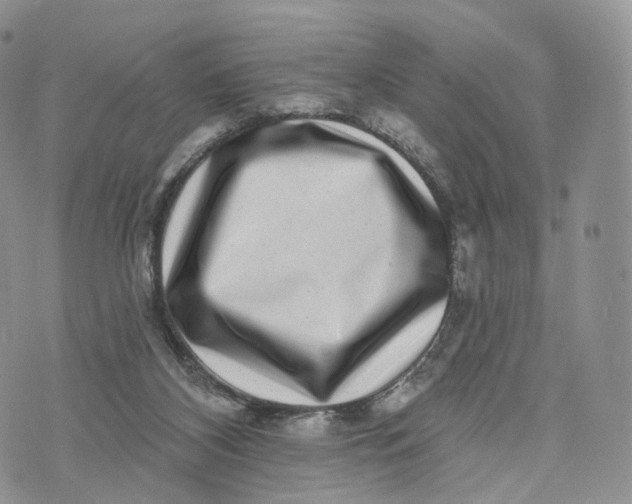 X0000072940116200608111610