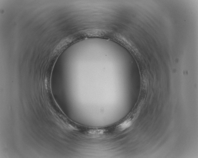 X0000072940117200608111610