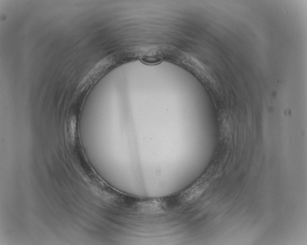 X0000072940118200608111610