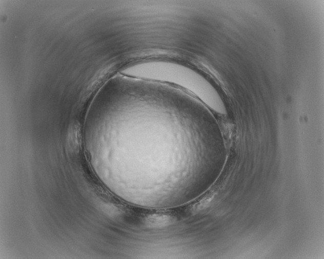 X0000072940119200608111610