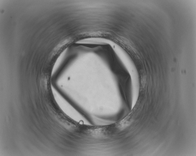 X0000072940120200608111610