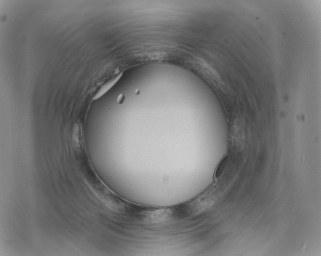 X0000072940122200608111610