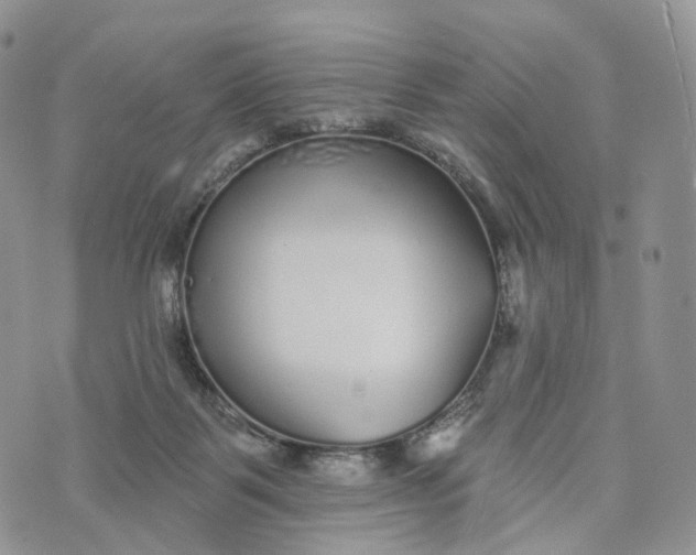 X0000072940123200608111610