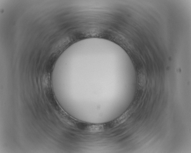 X0000072940126200608111610