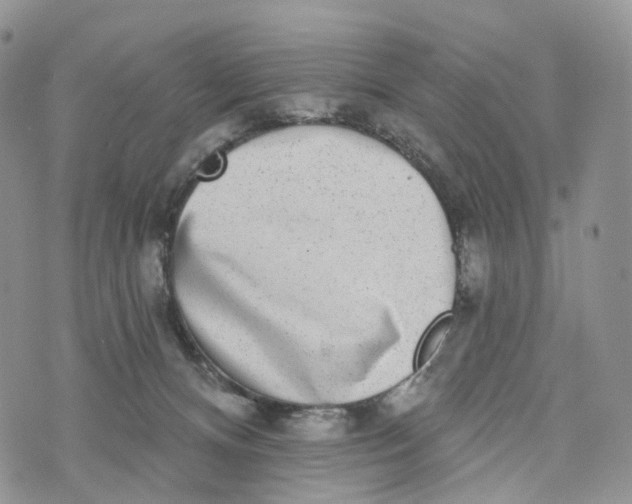 X0000072940128200608111610